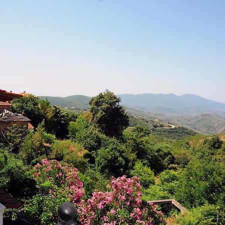 Archontiko Parisis Hotel Lafkos Luaran gambar